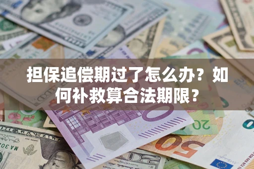 济南担保追偿期过了怎么办？如何补救算合法期限？