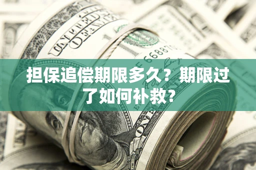 济南担保追偿期限多久？期限过了如何补救？